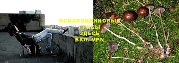 мескалин Армянск