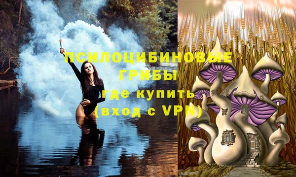 ECSTASY Арсеньев